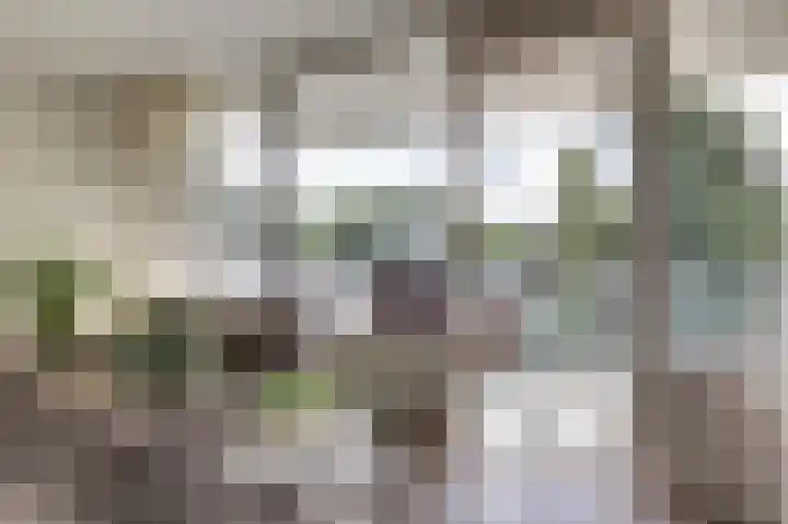 Rode Kruislaan 32 Nijmegen thumbnail 10
