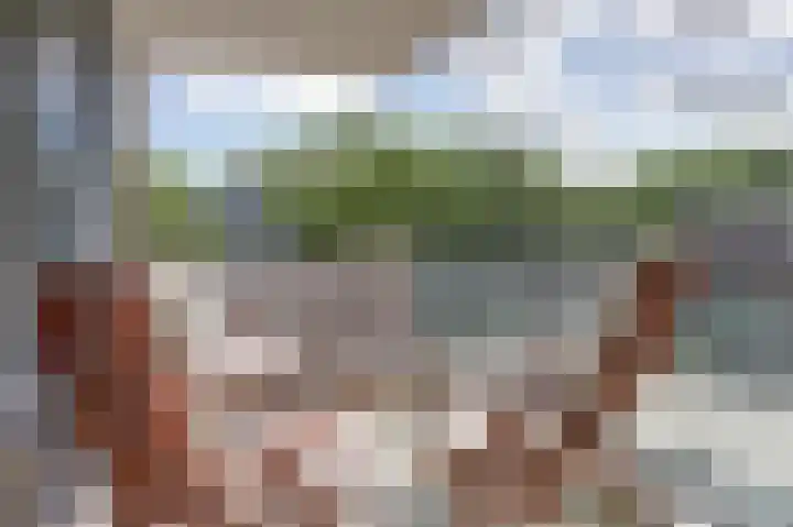 Rode Kruislaan 32 Nijmegen thumbnail 4