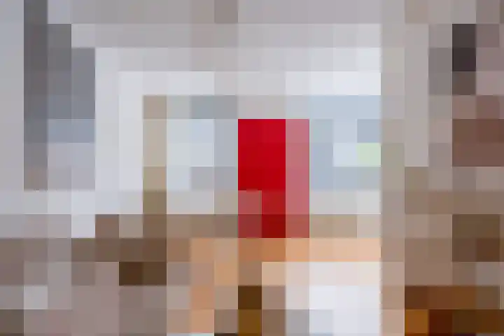 Rode Kruislaan 33 Nijmegen thumbnail 4