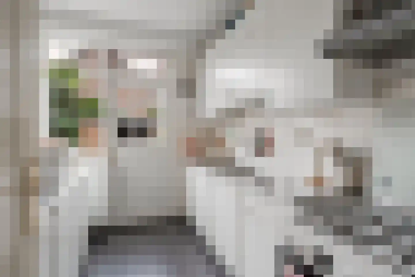 Rode Kruislaan 40 Diemen thumbnail 17