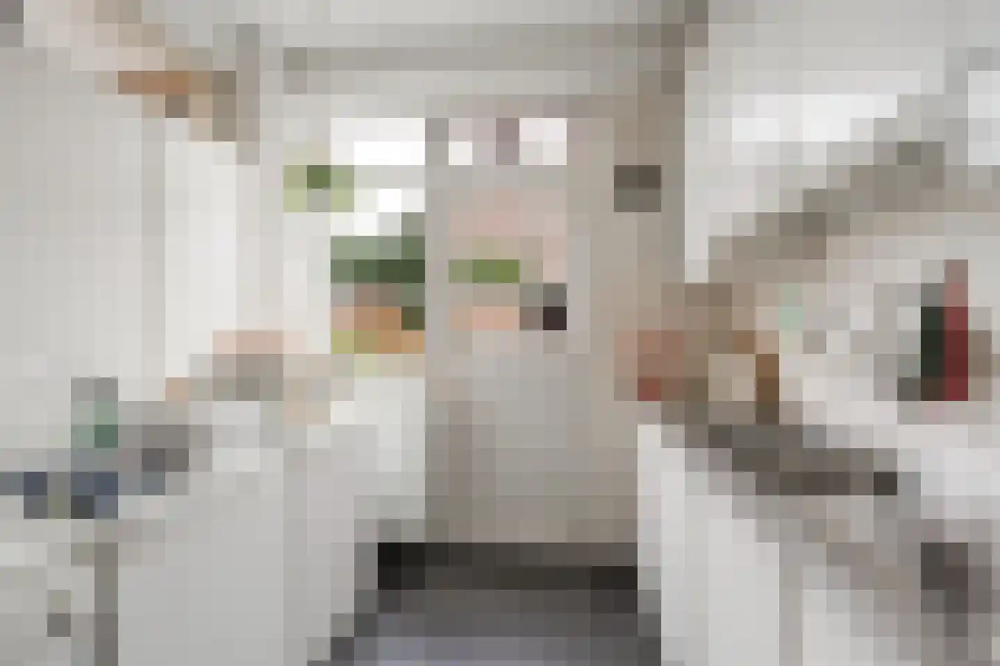 Rode Kruislaan 40 Diemen thumbnail 18