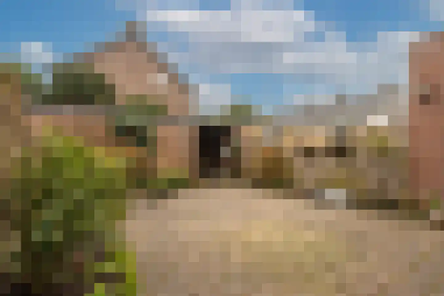 Rode Kruislaan 40 Diemen thumbnail 22