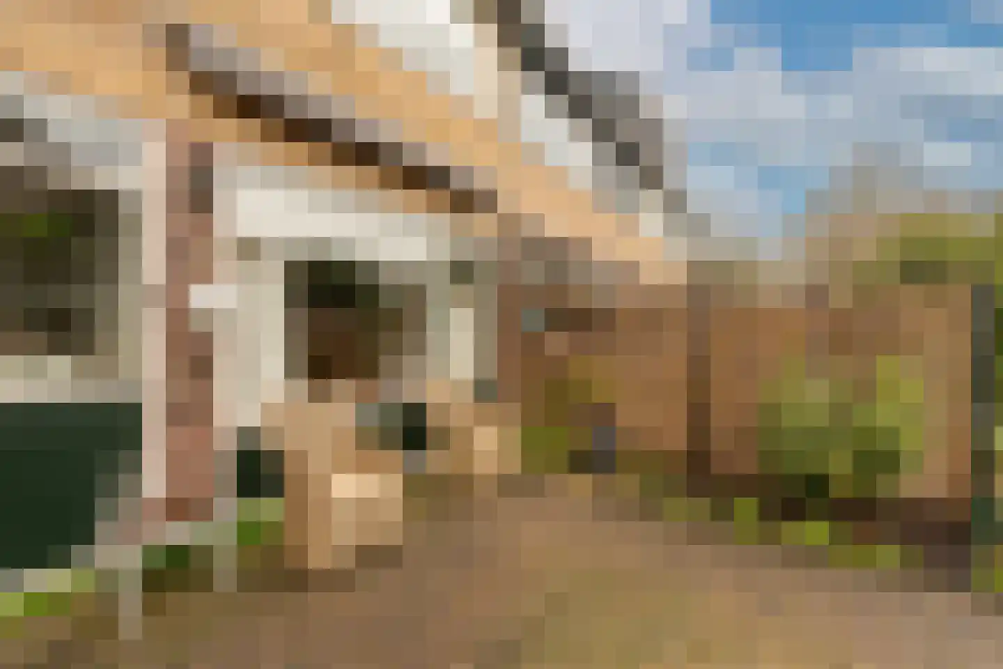 Rode Kruislaan 40 Diemen thumbnail 25