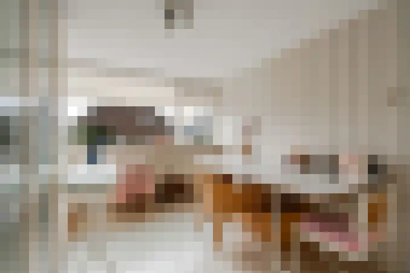 Rode Kruislaan 40 Diemen thumbnail 38