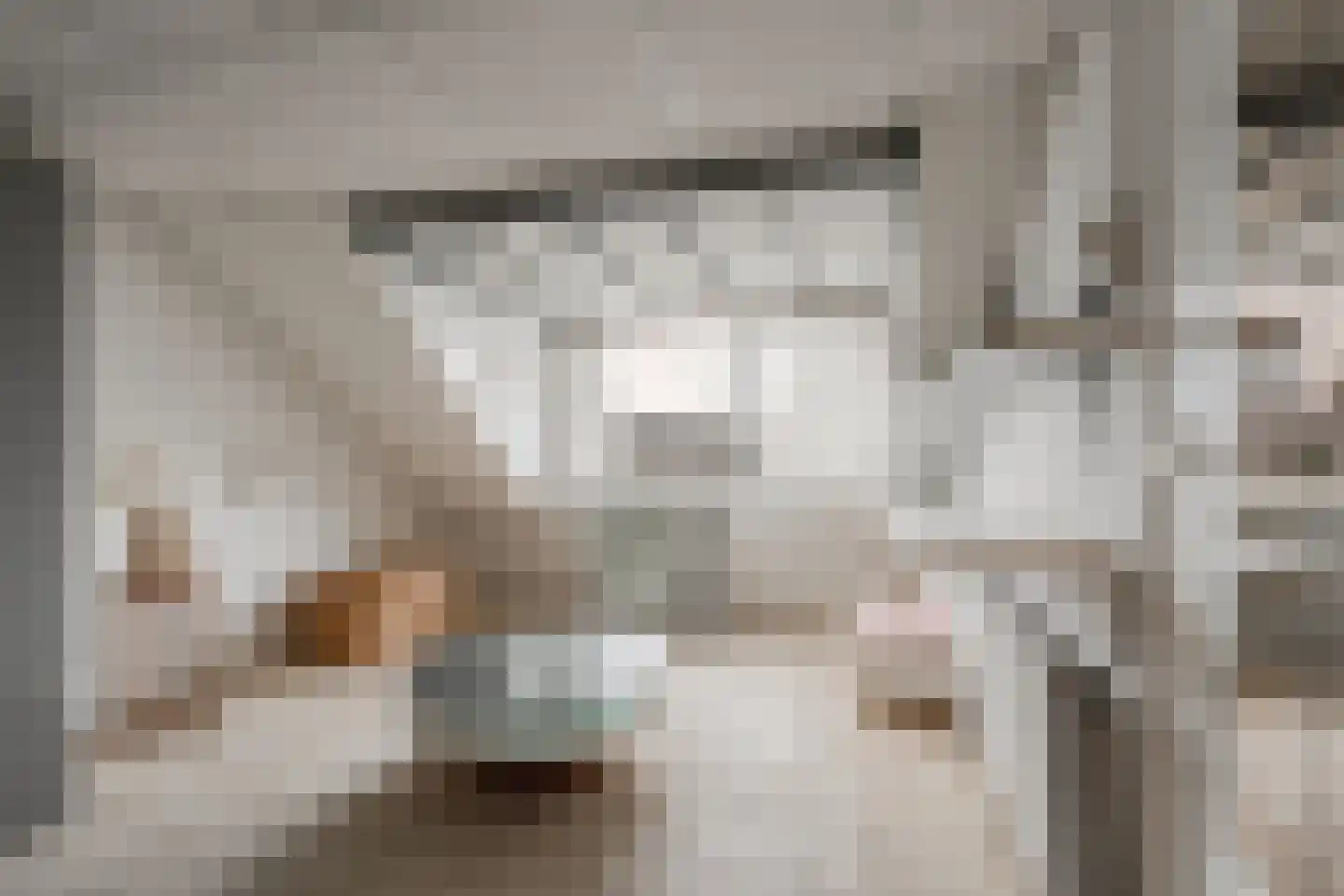 Rode Kruislaan 40 Diemen thumbnail 40