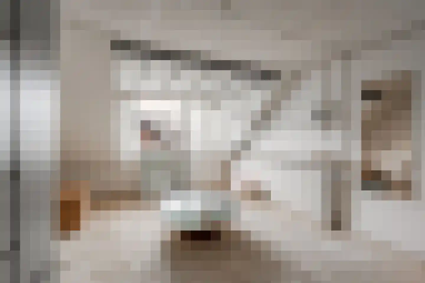 Rode Kruislaan 40 Diemen thumbnail 41