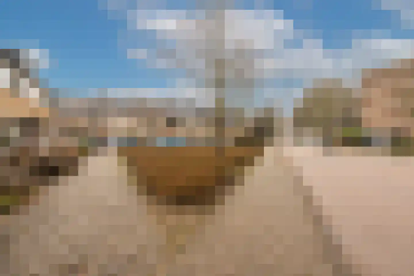 Rode Kruislaan 40 Diemen thumbnail 50