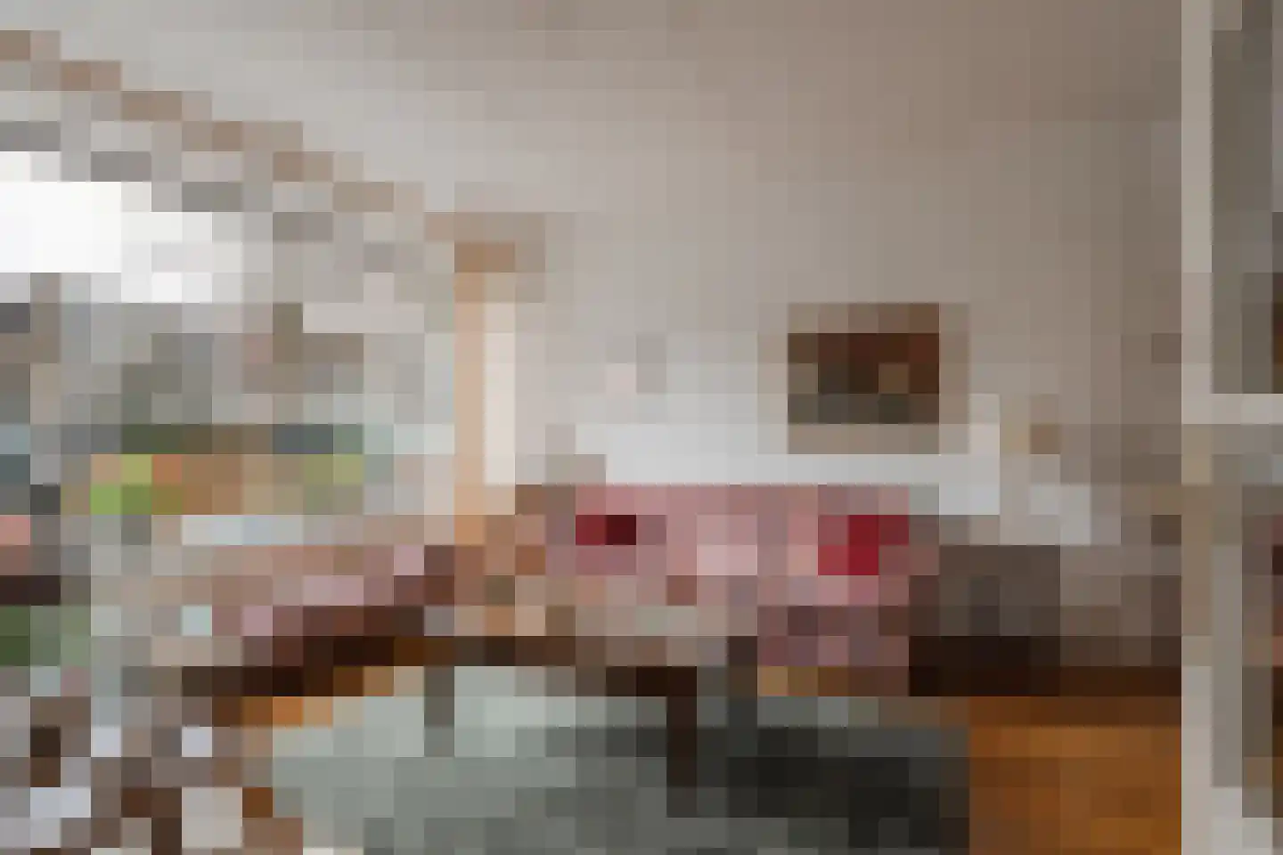 Rode Kruislaan 40 Diemen thumbnail 8