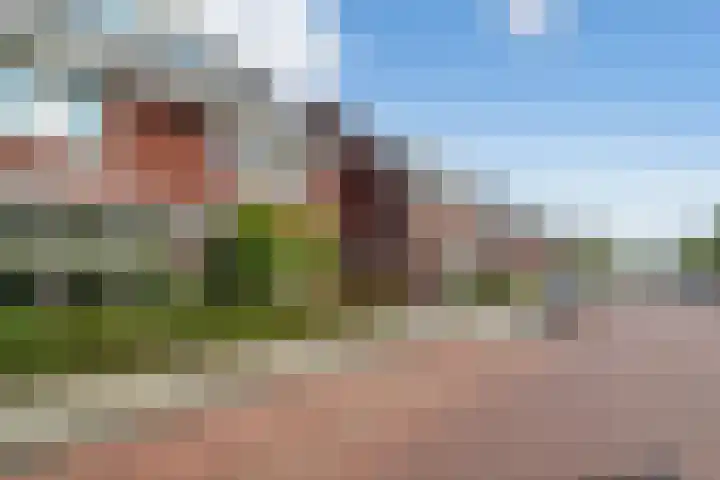 Rode Kruislaan 40 's-Gravenzande thumbnail 8