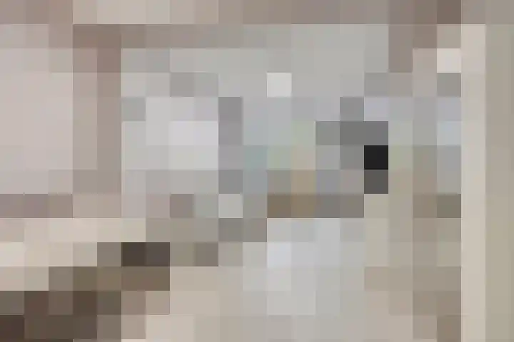 Rode Kruislaan 5 Eindhoven thumbnail 12