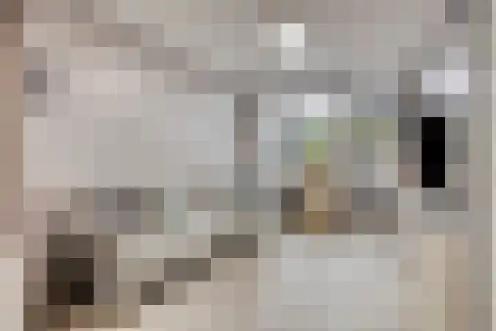 Rode Kruislaan 5 Eindhoven thumbnail 14