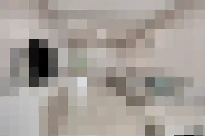 Rode Kruislaan 5 Eindhoven thumbnail 15