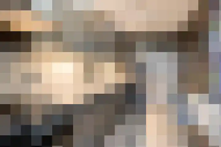 Rode Kruislaan 5 Eindhoven thumbnail 17