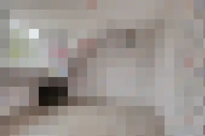 Rode Kruislaan 5 Eindhoven thumbnail 32