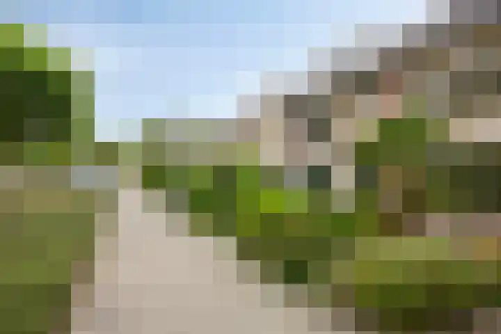 Rode Kruislaan 5 Eindhoven thumbnail 40
