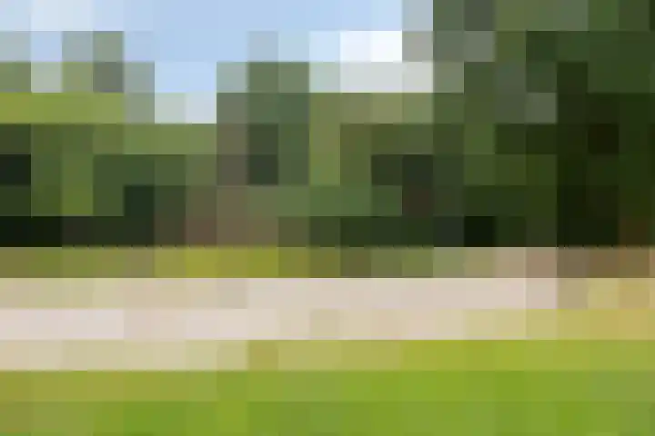 Rode Kruislaan 5 Eindhoven thumbnail 41
