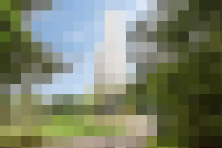 Rode Kruislaan 5 Eindhoven thumbnail 42