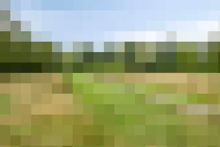 Rode Kruislaan 5 Eindhoven thumbnail 43