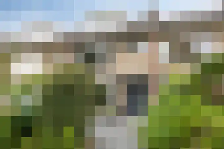 Rode Kruislaan 5 Eindhoven thumbnail 49