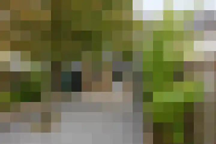 Rode Kruislaan 5 Eindhoven thumbnail 5