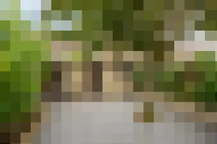 Rode Kruislaan 5 Eindhoven thumbnail 6