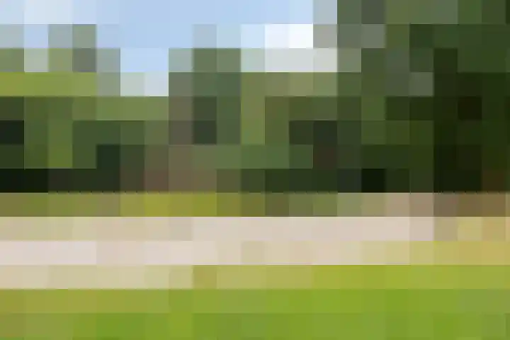 Rode Kruislaan 5 Eindhoven thumbnail 7