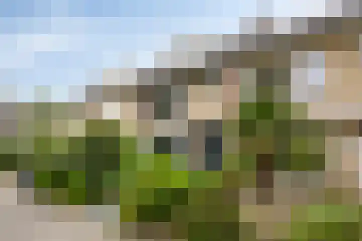 Rode Kruislaan 5 Eindhoven thumbnail 8