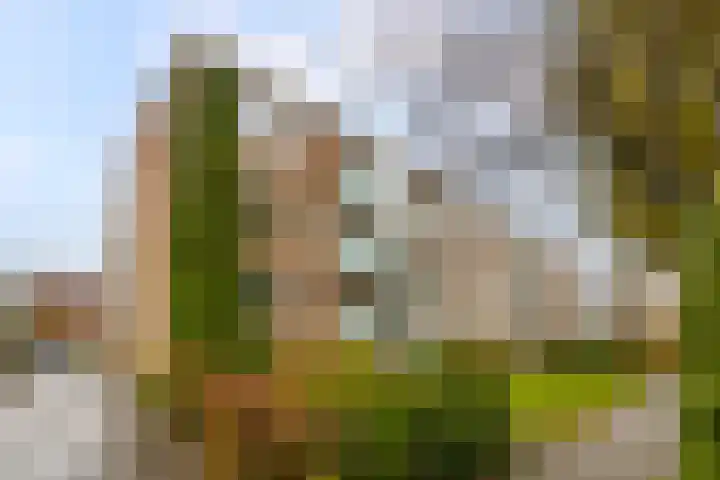 Rode Kruislaan 5 Groningen thumbnail 29