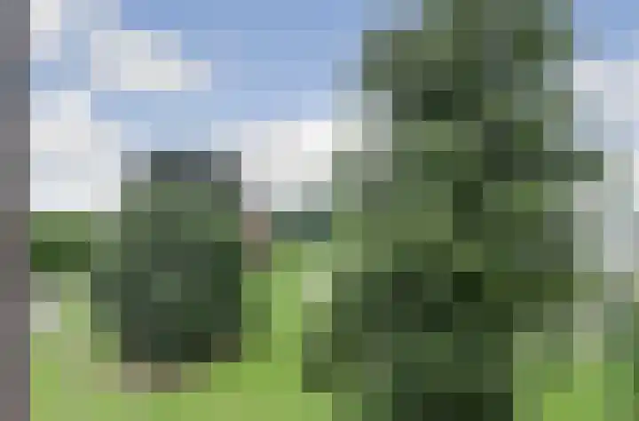 Rode Kruislaan 50 Nijmegen thumbnail 19