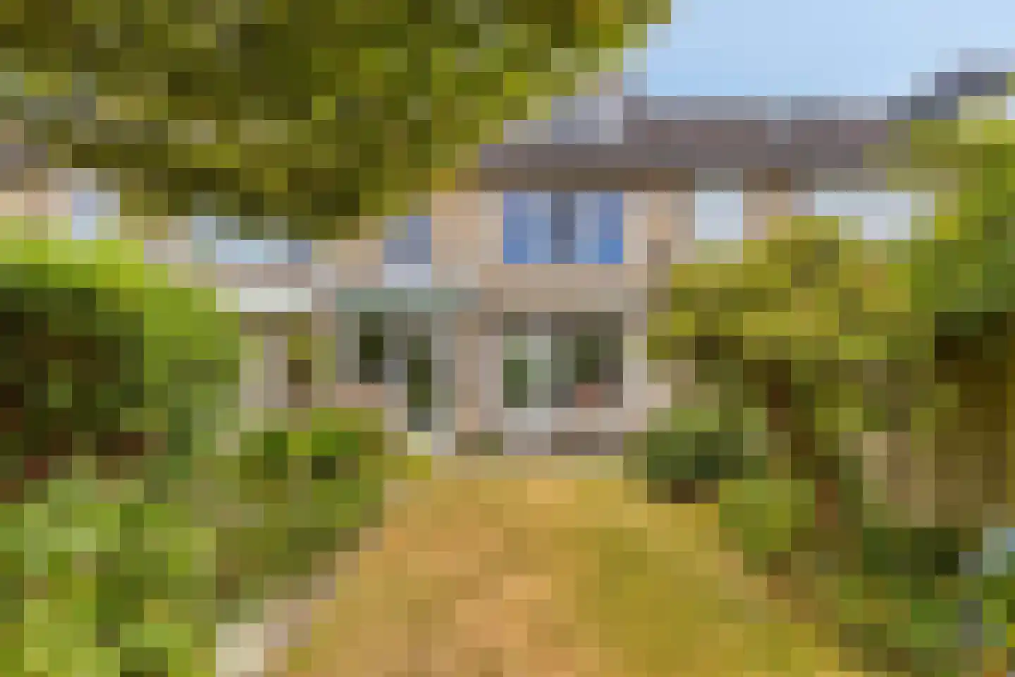 Rode Kruislaan 51 Eindhoven thumbnail 30
