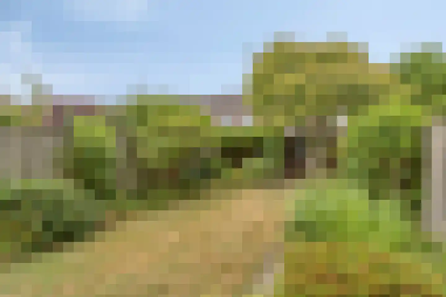 Rode Kruislaan 51 Eindhoven thumbnail 31