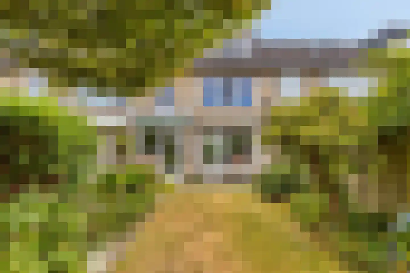 Rode Kruislaan 51 Eindhoven thumbnail 4
