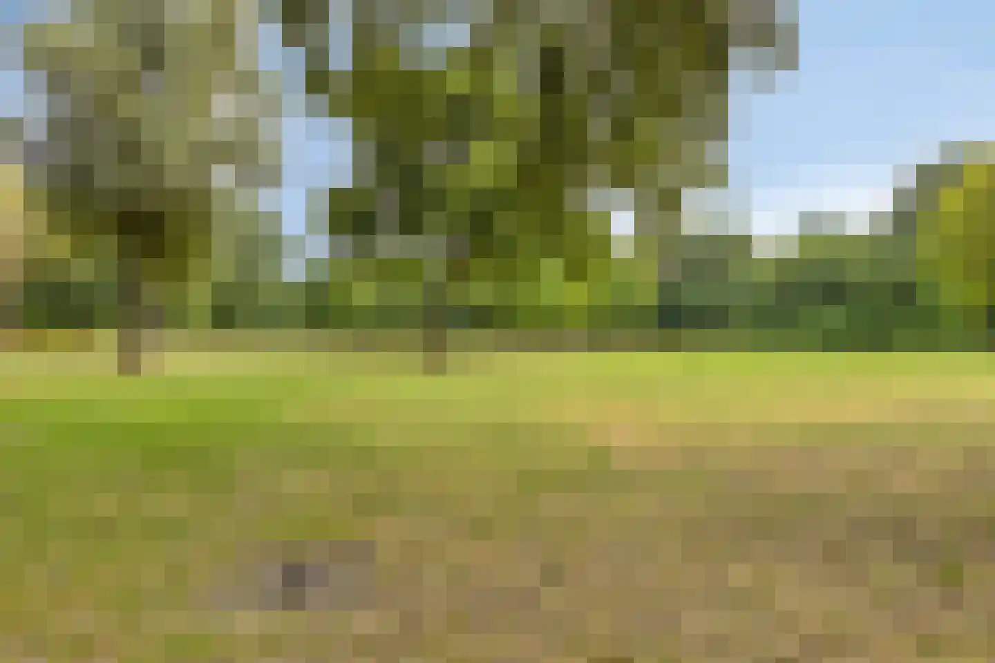 Rode Kruislaan 51 Eindhoven thumbnail 44