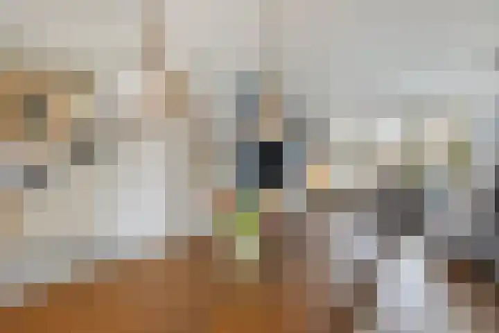 Rode Kruislaan 53 Eindhoven thumbnail 12