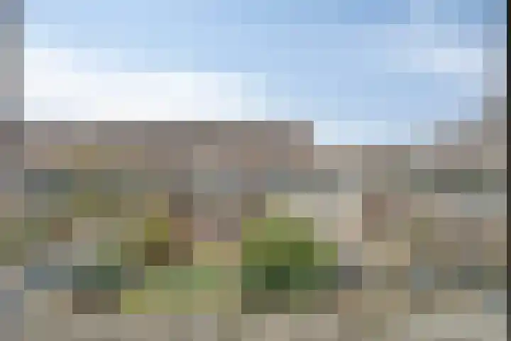 Rode Kruislaan 53 Eindhoven thumbnail 18
