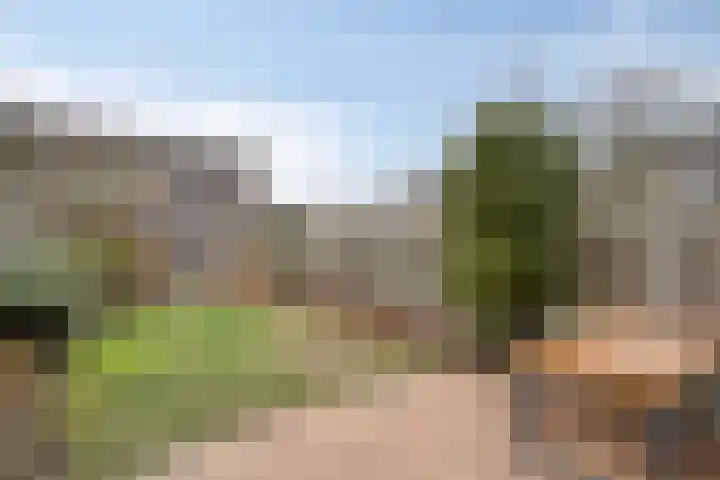 Rode Kruislaan 53 Eindhoven thumbnail 30