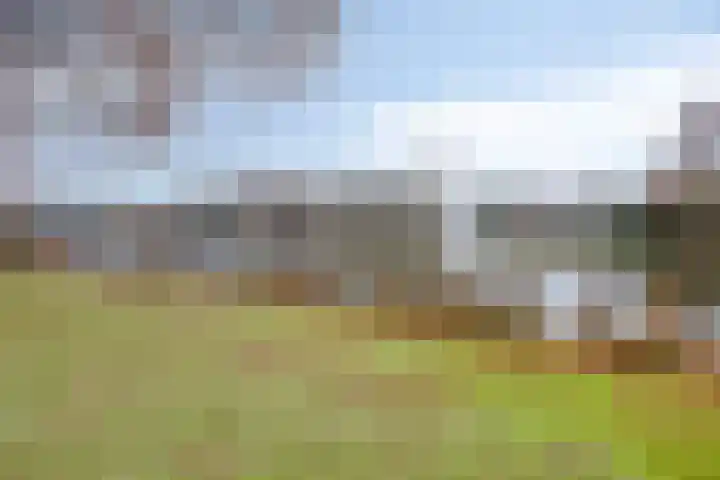 Rode Kruislaan 53 Eindhoven thumbnail 37