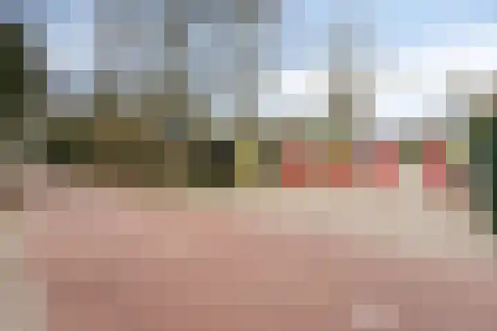 Rode Kruislaan 53 Eindhoven thumbnail 38