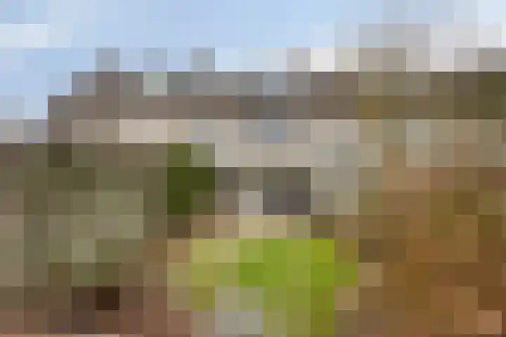 Rode Kruislaan 53 Eindhoven thumbnail 4