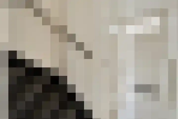 Rode Kruislaan 53 Eindhoven thumbnail 5