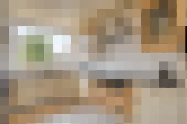 Rode Kruislaan 53 Eindhoven thumbnail 7