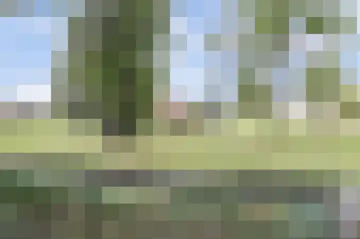 Rode Kruislaan 6 Nijmegen thumbnail 27