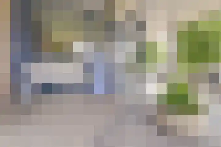 Rode Kruislaan 6 Nijmegen thumbnail 8