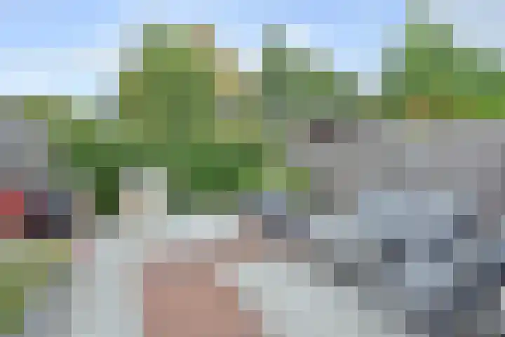 Rode Kruislaan 63 's-Gravenzande thumbnail 30