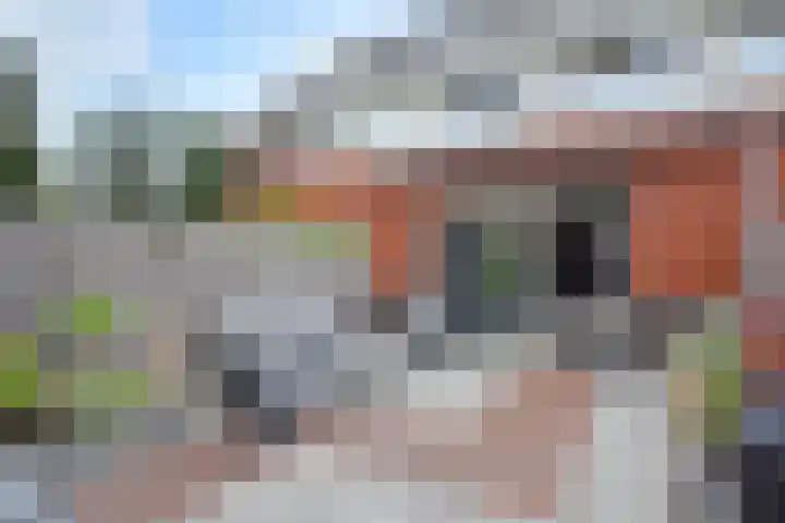 Rode Kruislaan 63 's-Gravenzande thumbnail 32