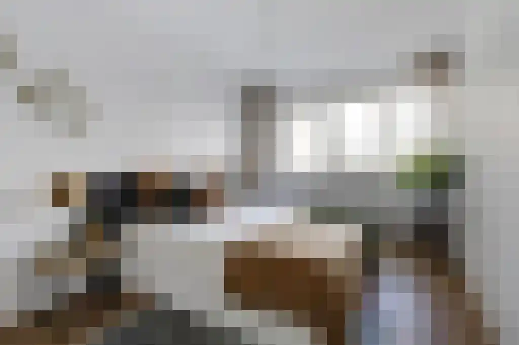 Rode Kruislaan 66 Nijmegen thumbnail 35