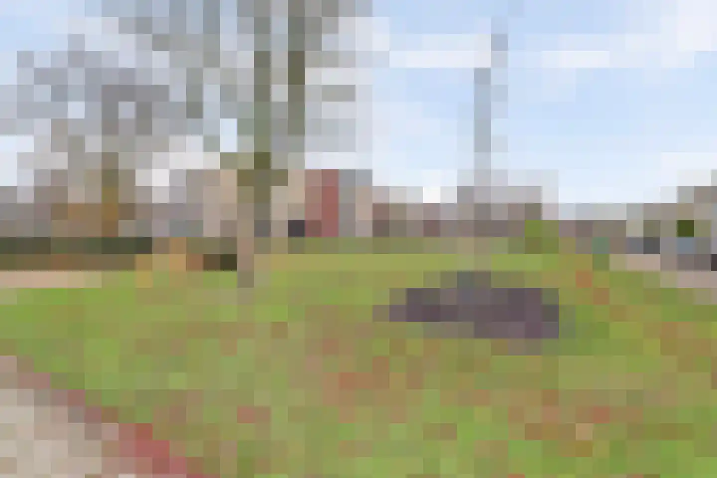 Rode Kruislaan 66 Nijmegen thumbnail 50