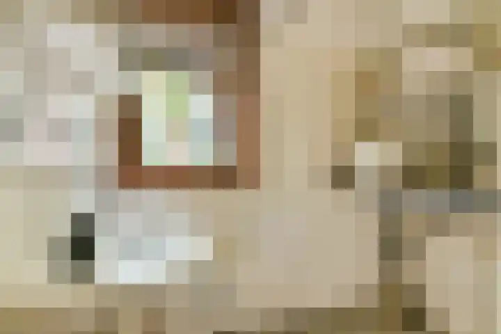 Rode Kruislaan 78 Diemen thumbnail 18
