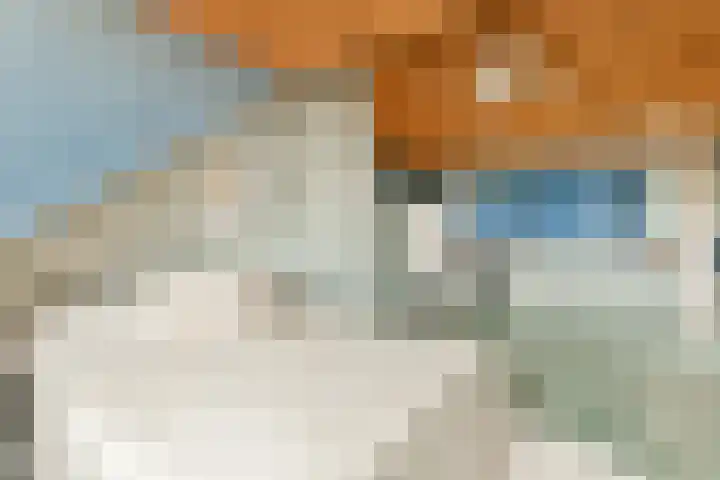 Rode Kruislaan 78 Diemen thumbnail 19