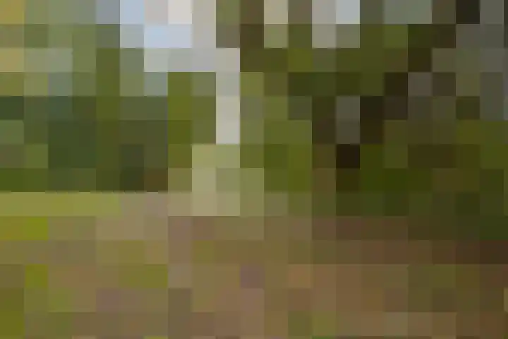 Rode Kruislaan 78 Diemen thumbnail 24
